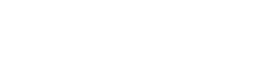 Fleetic