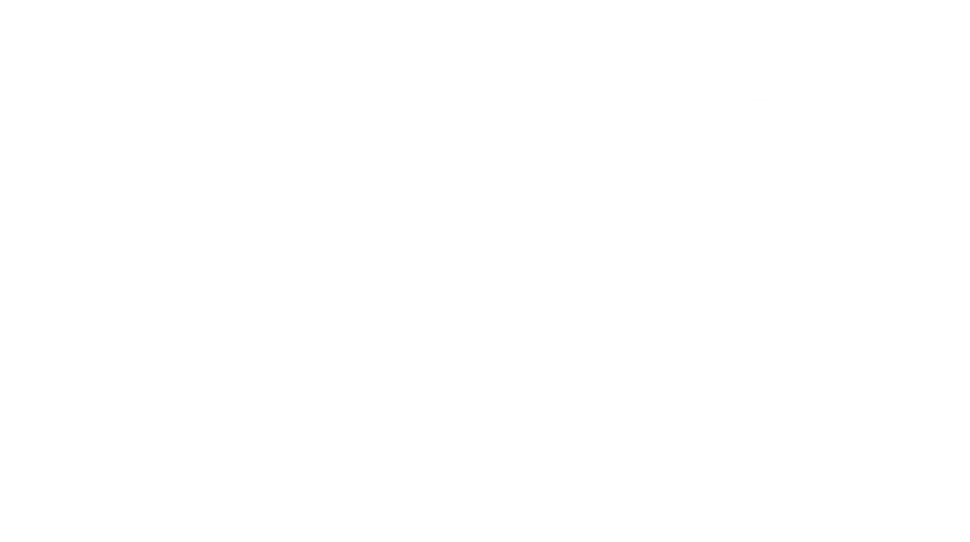 Perfect Vision